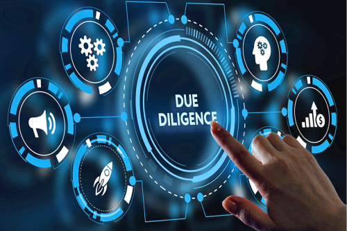 DUE DILIGENCE HİZMETİ